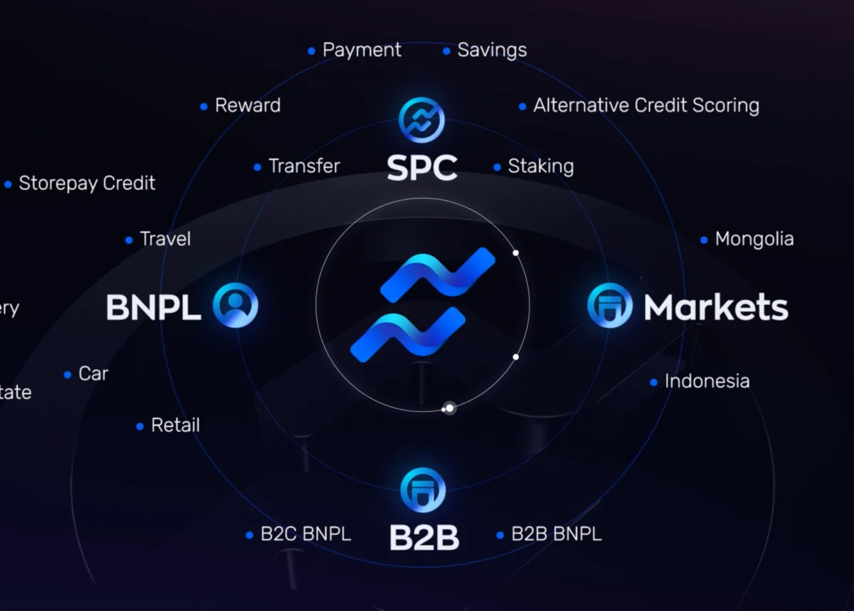 BNPL Financial System
